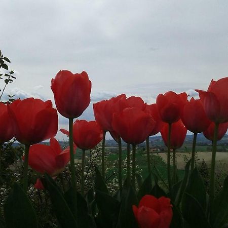 B&B Monferrato La Casa Sui Tetti Murisengo Exterior foto