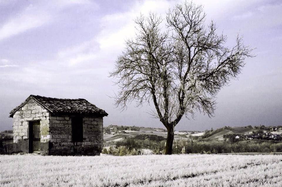 B&B Monferrato La Casa Sui Tetti Murisengo Exterior foto